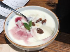 酸奶布丁-小大董·烤鸭(凤凰汇店)