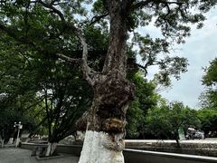 -桂林灵渠景区