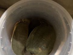 -粮心小农·大头虾亲子生态园(长发店)