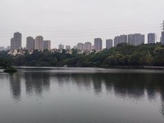 -重庆彩云湖湿地公园