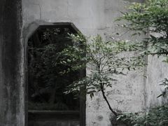 -留园
