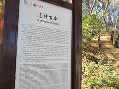 -白草畔自然风景区