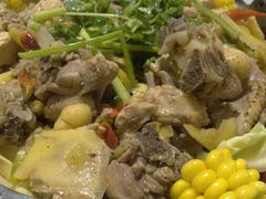 精品土鸡锅-陈三娃泡姜鸡(太白北路店)