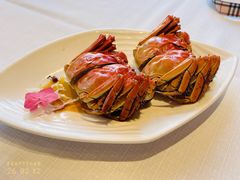 -新雅粤菜馆(南京东路店)