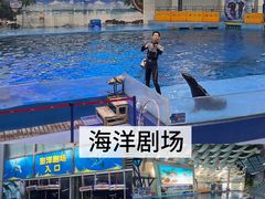 -合肥海洋世界