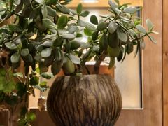 -四姑娘山阿巴郎·藏式花园餐厅