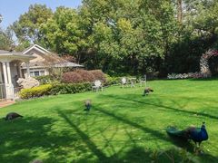 -J Create城市露营咖啡·简餐·宠物(上海动物园店)