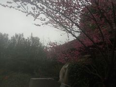 -杭州第一世界大酒店·云曼温泉