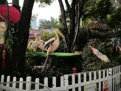 -广州长隆国际大马戏