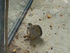 -长白岛森林公园