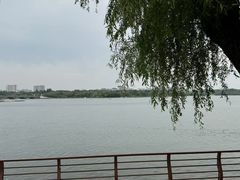 -长春市南湖公园