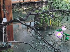 -大妙火锅·非物质文化遗产(东湖公园店)