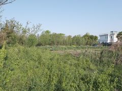 -广富林郊野公园