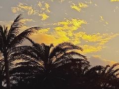 -白沙门生态公园