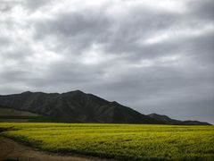 -扁都口生态休闲旅游区