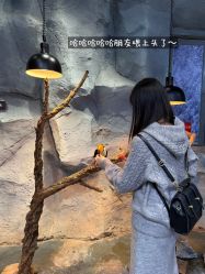 -Zoolung Zoolung动物主题公园(海信广场店)