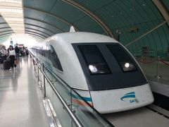 -龙阳路磁悬浮列车总站-停车场