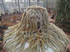 -南通洲际绿博园