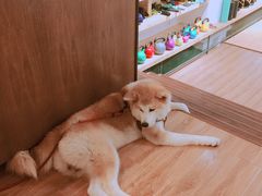-YCHL Studios健身工作室(市二宫店)