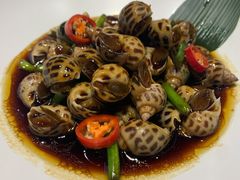 捞汁小海螺-必点海鲜·鲅鱼水饺(鞍山西道店)
