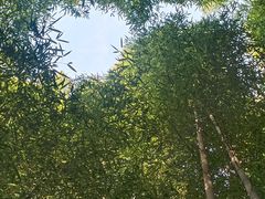 -龙寺生态园