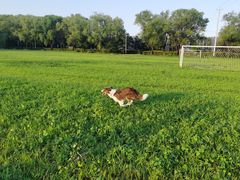 -野鸭湖国家湿地公园