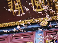 -青羊宫