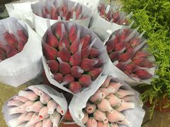 -亭亭鲜花店(中山北路店)