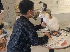 -平行世界·猫咖(首经贸店)