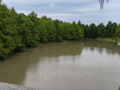 -上海海湾国家森林公园