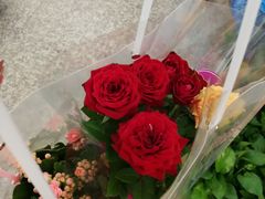 -双季花艺园艺市场(浦东店)