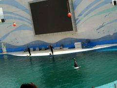 -北戴河圣蓝海洋公园