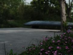 -木守西溪溪隐餐厅