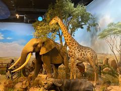 -陕西自然博物馆