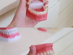 -泰康拜博口腔(世博园乐尔店)