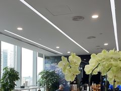-马泷齿科·成都锦江置略马泷口腔门诊部(IFS国金中心店)