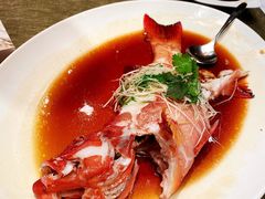 清蒸东星斑-御宝轩(益丰·外滩源店)