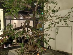 -桂满陇-锦绣江南(万象城店)