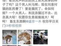 盛京一禾-盛京一禾