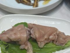 -丁老爷子苏香圆