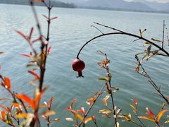 -柳莺湖上·湖景餐厅·江南菜(西湖店)