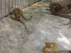 -西安秦岭野生动物园