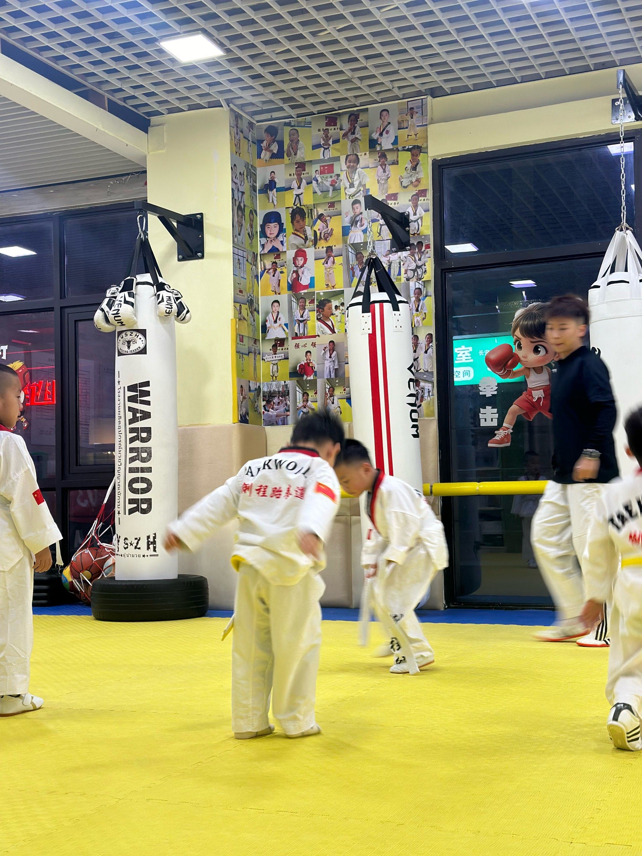 今天跆拳道训练超给力