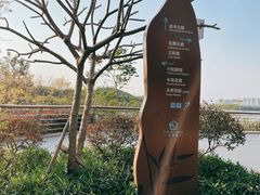 -立新湖公园