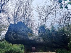 -山王坪喀斯特国家生态公园