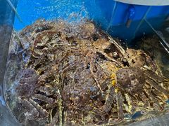-黑木原精致料理·铁板烧
