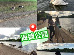-海德公园