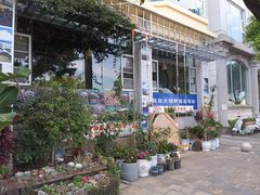 -野菌皇海景野生菌火锅(滨海大道店)
