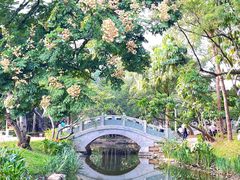 -人民公园(罗湖区)