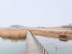 -太湖湖滨国家湿地公园-停车场